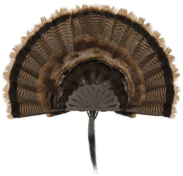 ALLEN 7238   EZ MOUNT TURKEY FAN DISPLAY