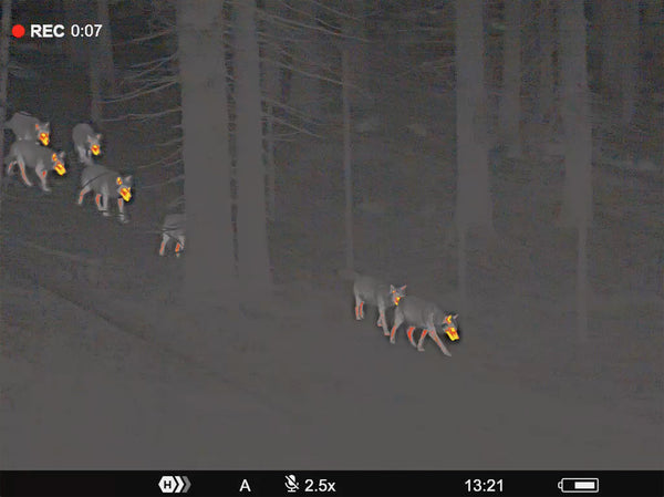 PULSAR PL77516  TELOS XL50