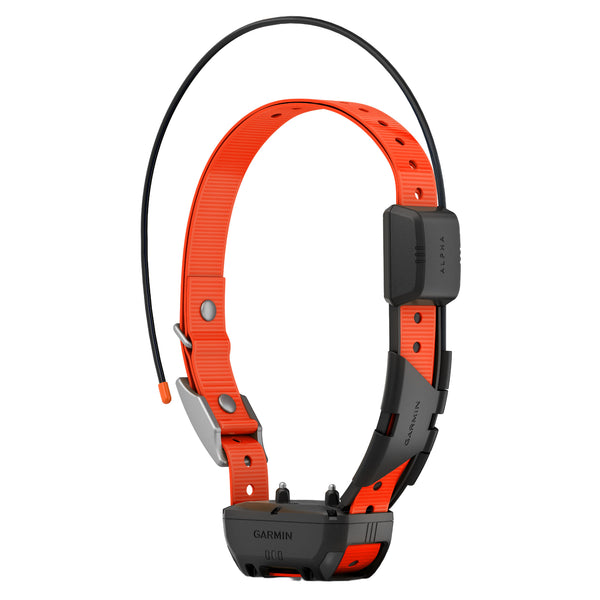 Garmin TT25 Collar