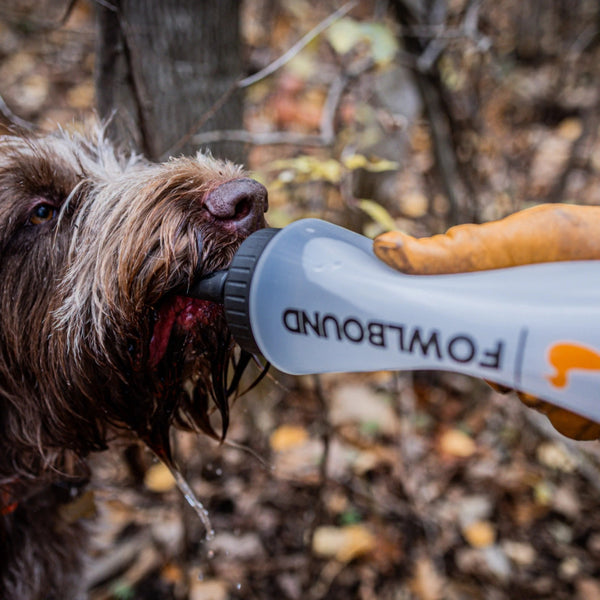 Fowlbound XT Dog Water Bottle