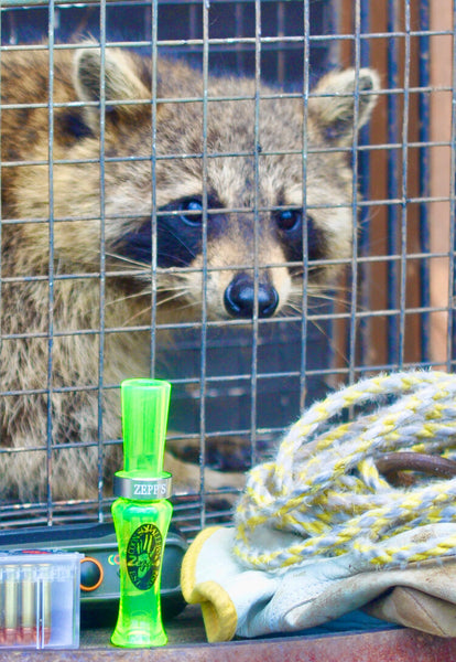 Zepp's River Bottom Squaller