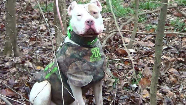 Swamp Dawg Super Suit Catch Vest with Leg Flaps