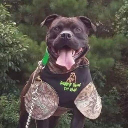 Swamp Dawg Super Suit Catch Vest with Leg Flaps