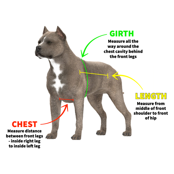 Swamp Dawg Super Suit Catch Vest with Leg Flaps