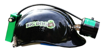Big Dog Blitz Light